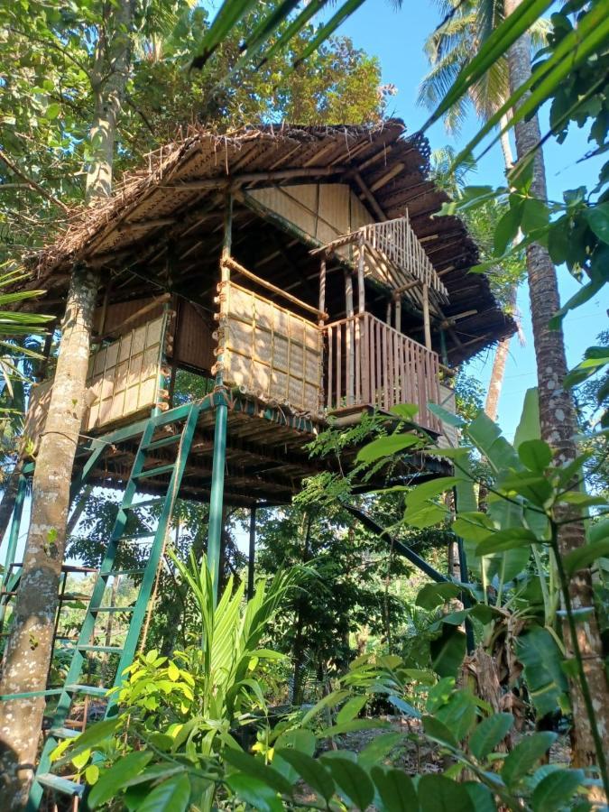 Kayyalas Courtyard Thrissur 외부 사진